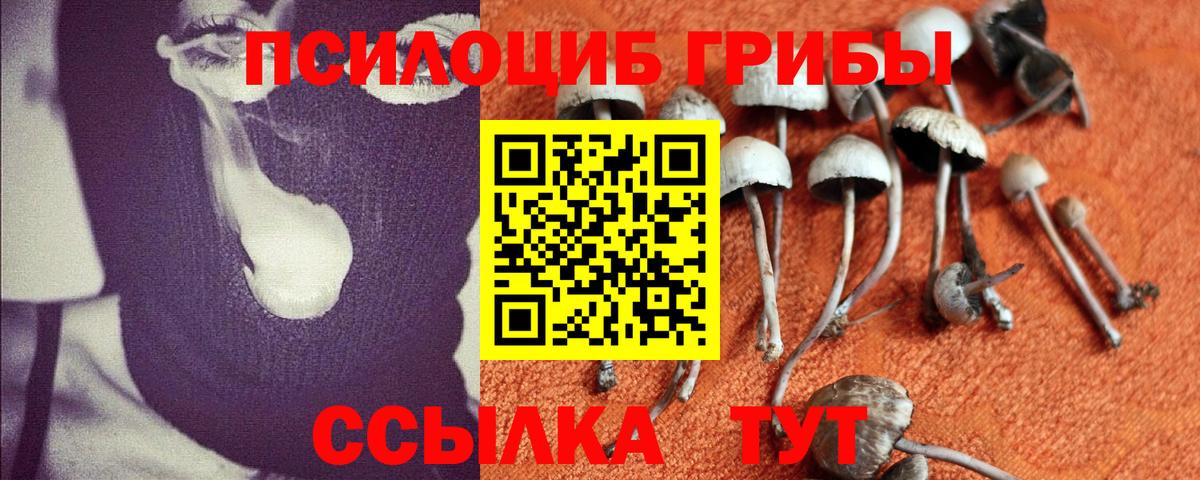 Галлюциногенные грибы GOLDEN TEACHER Ливны
