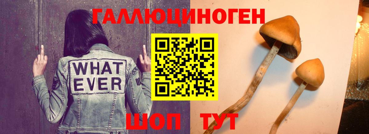 Псилоцибиновые грибы мицелий  Галлюциногенные грибы ЛСД  Ливны  Вход с VPN 